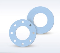 Modified PTFE Gasket