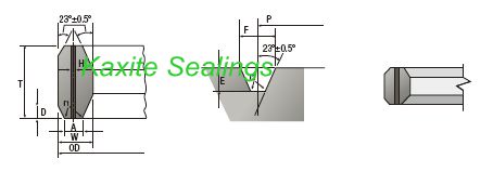 RX Ring Joint Gasket
