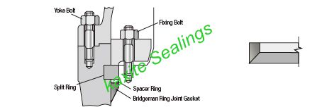 RX Ring Joint Gasket