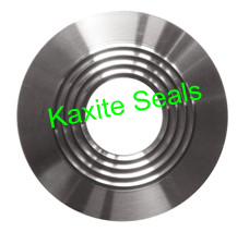 Nuclear Spiral Wound Gasket