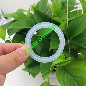 Silicon Rubber Tri-clamp Santary Gasket