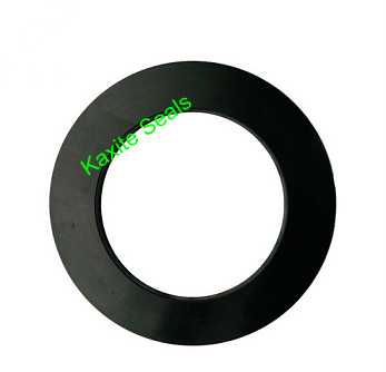 Oil Resistant Viton Seal Fluorine Rubber Gasket